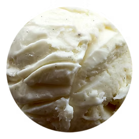 THC-Infused Tahitian Vanilla Ice Cream Pints (Case of 24)